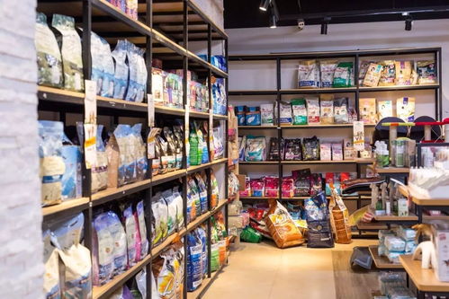 錯過了再等一年,下沙這家寵物店不得了